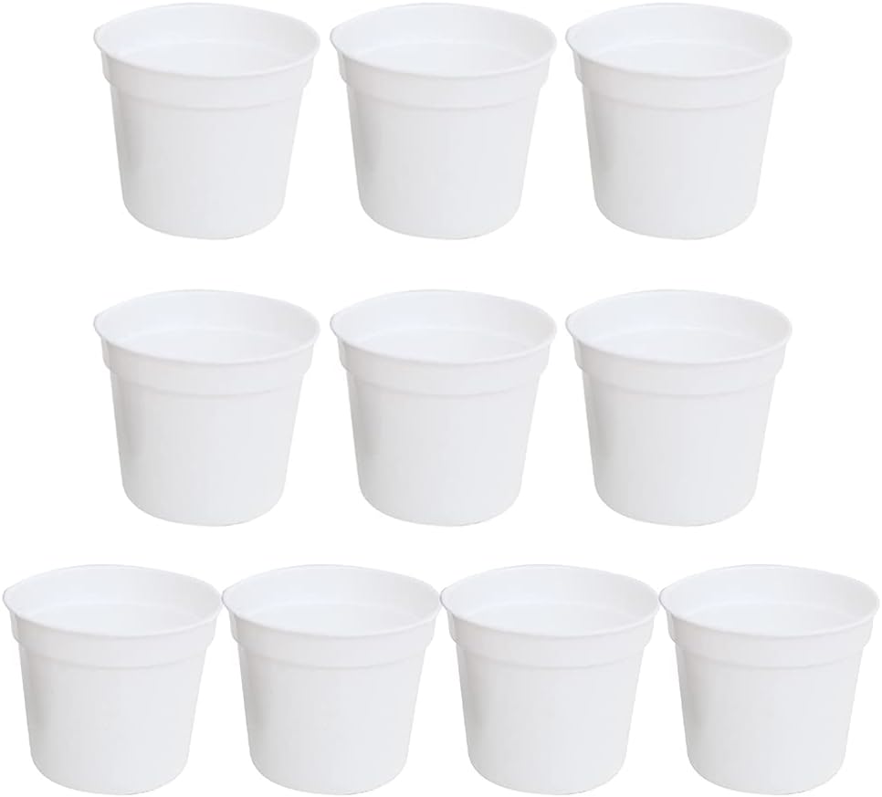 418xS1C0anS._AC_SL1024_.jpg