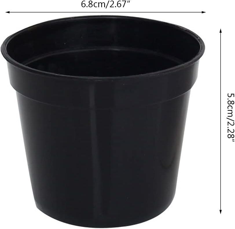 418xS1C0anS._AC_SL1024_.jpg