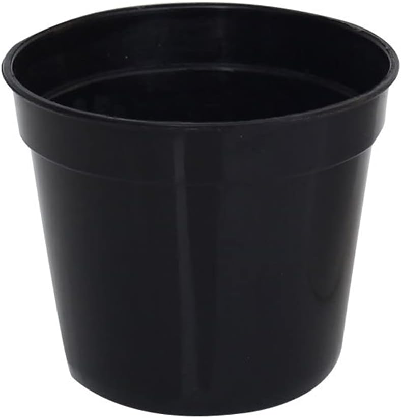 418xS1C0anS._AC_SL1024_.jpg