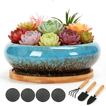 Drzewo 7 Inch Ceramic Succulent Planter with Drainage Hole & Tray, Drip Glazed