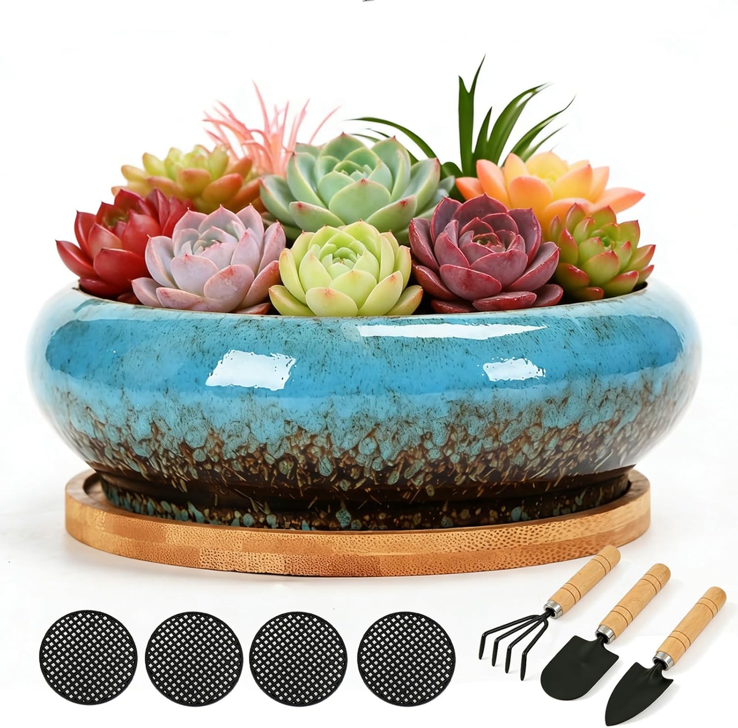 Drzewo 7 Inch Ceramic Succulent Planter with Drainage Hole & Tray, Drip Glazed