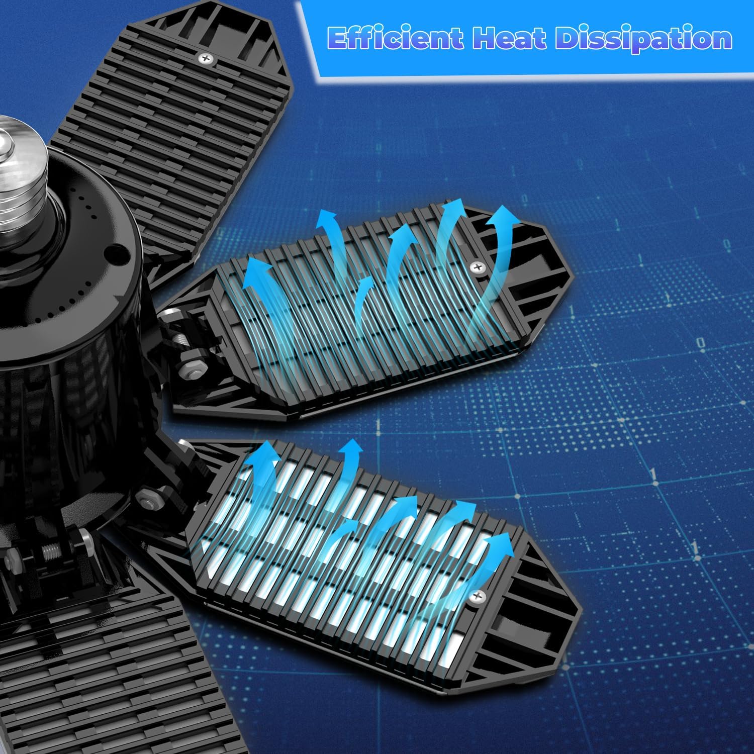 61Kw62dHzvL._AC_SL1500_.jpg