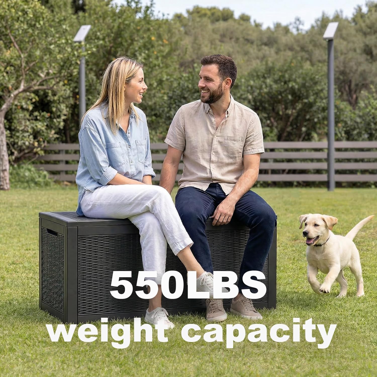 81dNh-9T6ML._AC_SL1500_.jpg